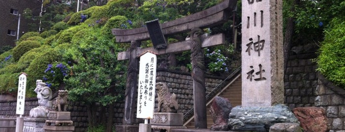 Shinagawa Shrine is one of 東京十社.