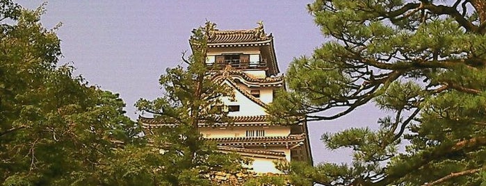 Kochi castle is one of 日本100名城.