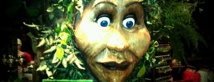Rainforest Cafe is one of ∵ї∵ PΣΠΠΨ  ρℓα¢єѕ  ∵ї∵.