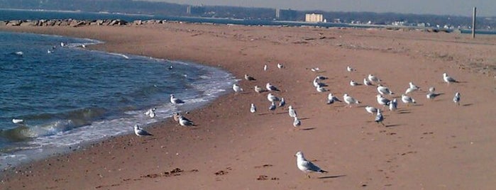 Lighthouse Point Park is one of Orte, die Debb gefallen.