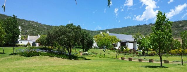 Rhebokskloof Estate is one of Locais curtidos por Fathima.