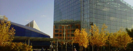 National Aquarium is one of Day Trips from Baltimore.