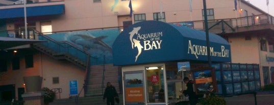 Aquarium of the Bay is one of San Francisco.