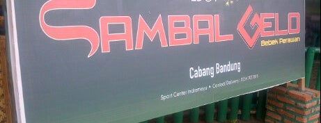 Sambel Goreng Bebek Perawan is one of All-time favorites in Indonesia.