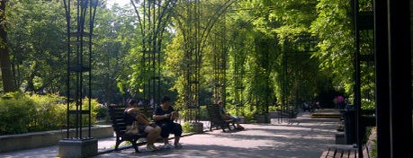 Fuxing Park is one of Shanghai.