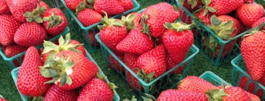 Westchester Farmers Market is one of Lugares guardados de Matthew.