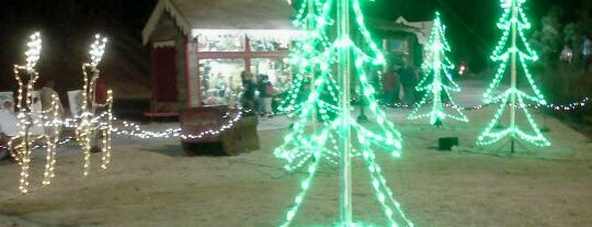 Lights of LIFE is one of Atlanta Christmas Activities.