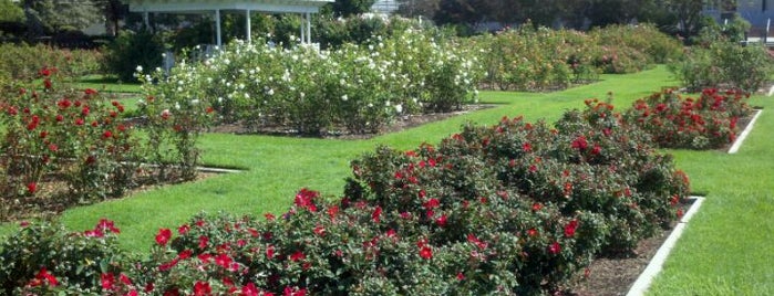 Exposition Park Rose Garden is one of My vacation @ CA.