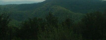 Pet Friendly Cabins In The Smokies