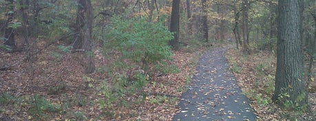 John F. Kennedy Memorial Forest is one of St. Louis Outdoor Places & Spaces.
