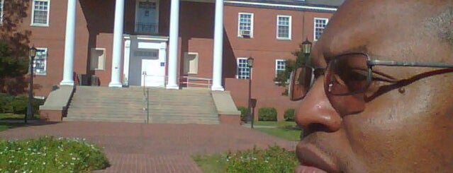 The Library @umes is one of libraries.