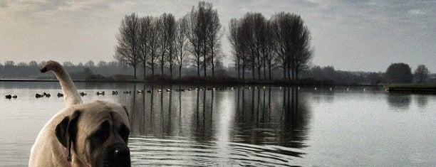 Ouderkerkerplas is one of Lieux qui ont plu à Melike.