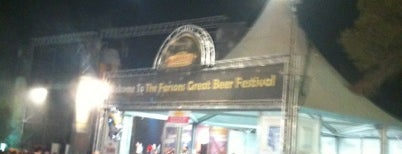 Farsons Great Beer Festival is one of Malta tips.