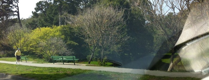 Golden Gate Park: Hidden meadow is one of San Francisco.