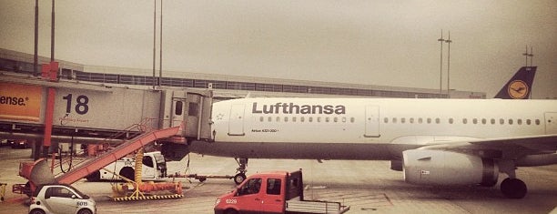 Lufthansa Flight LH 003 is one of Flights.