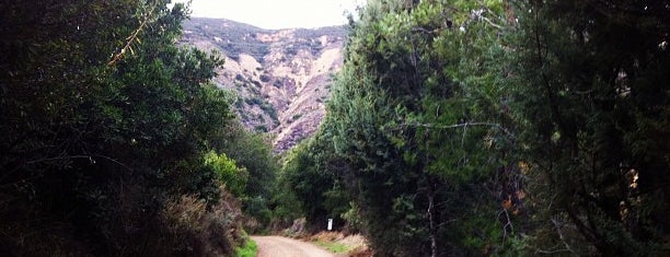 Black Star Canyon Road is one of Hiking Trails in Orange County.