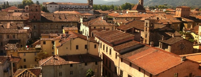 Torre Guinigi is one of Visit Lucca.