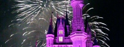 Wishes Nighttime Spectacular is one of Must See Disney Magic Kingdom.