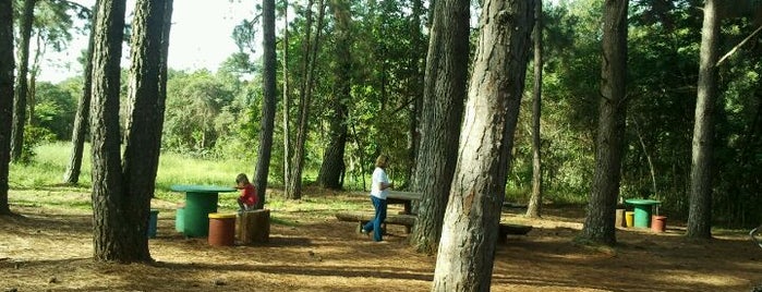 Jardim Botânico is one of Pontos Turísticos de Brasilia - DF.