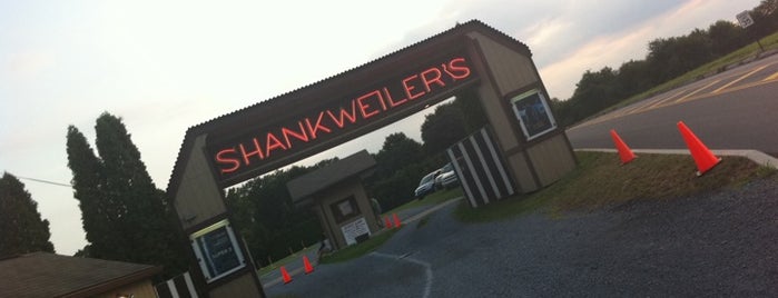 Shankweiler's Drive-In Theatre is one of Local stuff to do.