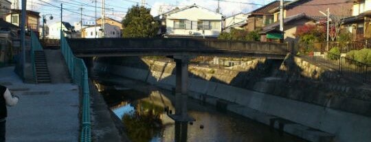 相深橋 is one of 鴨川運河(琵琶湖疎水)に架かる橋.