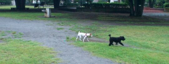 亀戸中央公園 is one of Parks & Gardens in Tokyo / 東京の公園・庭園.