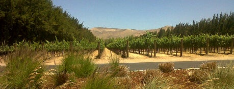 Estancia Winery is one of Vineyards.