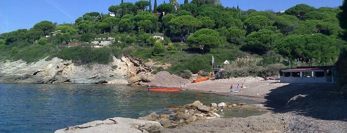 Madonna Delle Grazie is one of Spiagge di Capoliveri.