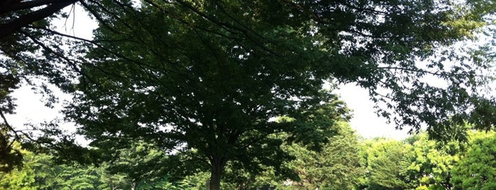 祖師谷公園 is one of All-time favorites in Japan.