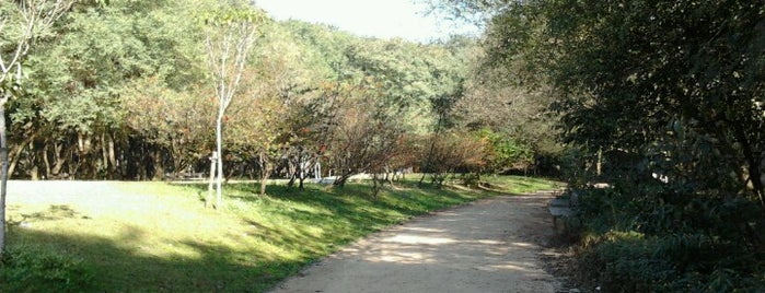 Parque da Juventude is one of visitar.