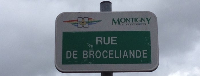 Rue de Brocéliande is one of #Env000.