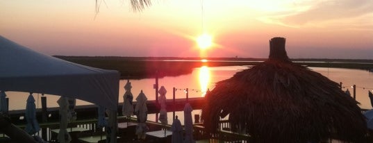 Coconut Cove is one of Jersey Shore (Cape May County).