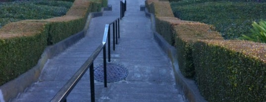 Lyon Street Steps is one of San Francisco Adventure Spots.