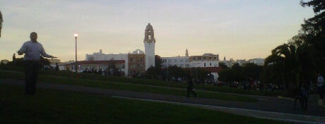 Mission Dolores Park is one of SF - December.