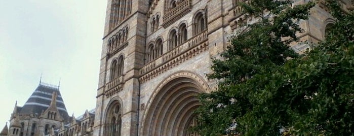 Natural History Museum is one of Museums.