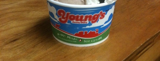 Young's Jersey Dairy is one of Scene in Ohio.