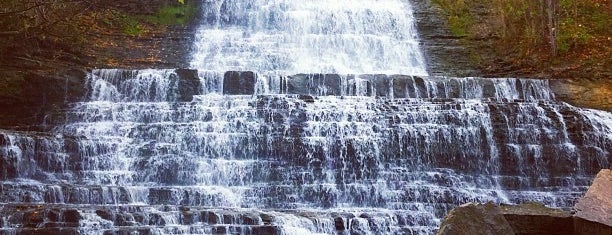 Albion Falls is one of Lugares favoritos de Ethan.