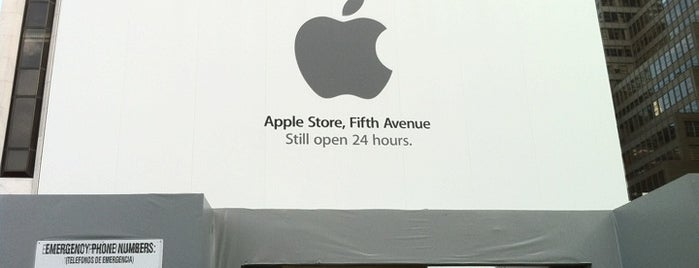 Apple Fifth Avenue is one of wanna visit in NewYork.