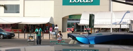 Lotus's is one of All The Way In My Daily Life.