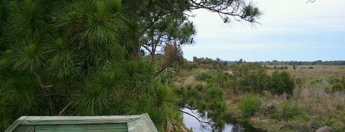 Savannas Preserve State Park is one of Explore the Treasure Coast.