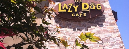 Lazy Dog Restaurant & Bar is one of Best Eats in Lakewood.