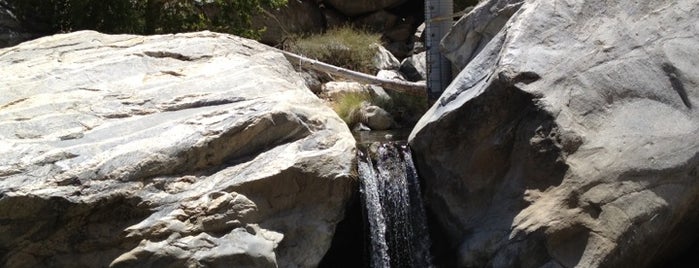 Tahquitz Canyon is one of Palm Springs/Joshua Tree.