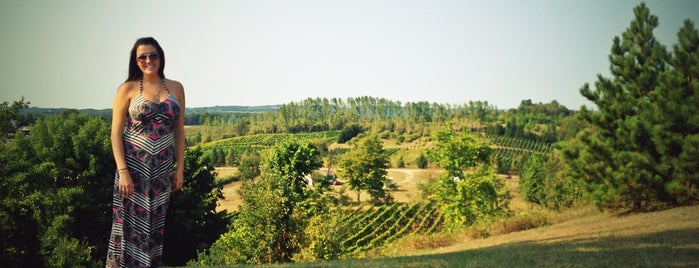 Ciccone Vineyard & Winery is one of Orte, die Meags gefallen.