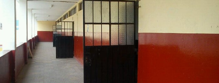 Colegio Esther Festini De Ramos is one of Posti che sono piaciuti a Arturo Sebastian.