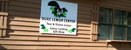 Duke Lemur Center is one of Blue Devil Days 2012.