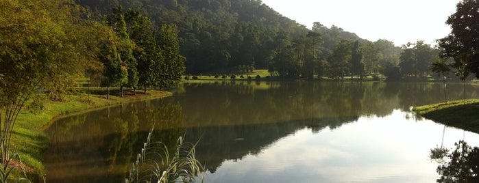 Taman Botani Taman Ehsan is one of Lugares guardados de ꌅꁲꉣꂑꌚꁴꁲ꒒.