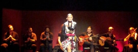 Palacio del Flamenco is one of I've been there.