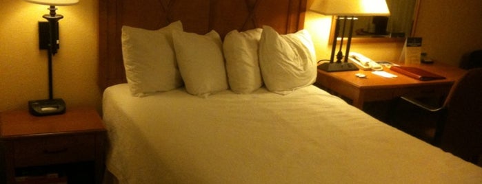 Best Western Dulles Airport Inn is one of Posti che sono piaciuti a Ellen.