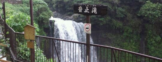 Otodome Falls is one of Dannie 님이 좋아한 장소.