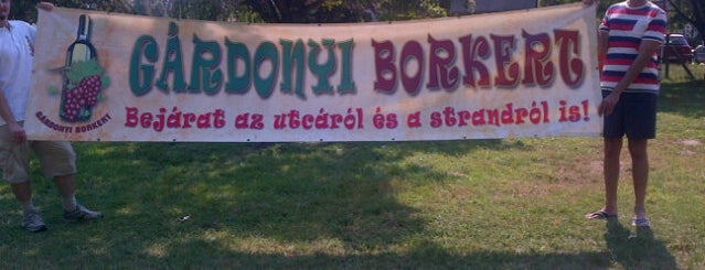 Gárdonyi Borkert is one of Bor.